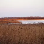 Gut Rattelvitz Insel Ruegen Gingst
