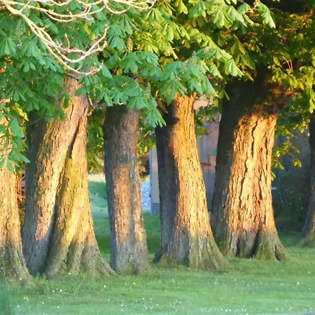 Gut Rattelvitz Insel Ruegen *