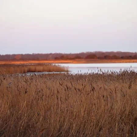 Gut Rattelvitz Insel Ruegen Gingst
